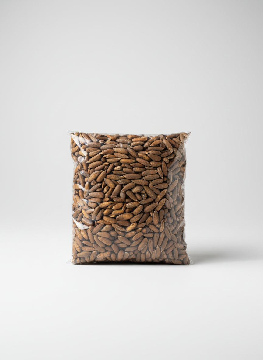 Pinienkerne in der Schale