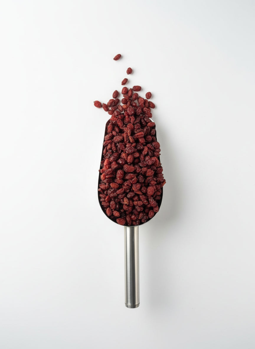 Berberitzen – Getrocknete rote Beeren